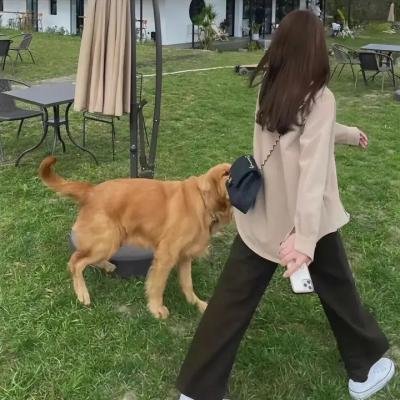 李卫当官1